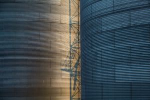 02-1Ds_0782-LimonTanks_LR_Things-things.jpg
