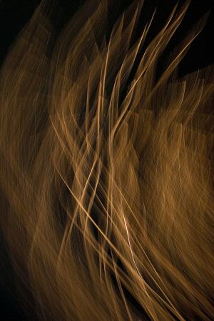 06-IMG_6562_LR_Things-things.jpg