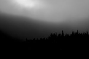 31-1D_07729-LR_Edited-PICKS_LR_Places-things.jpg