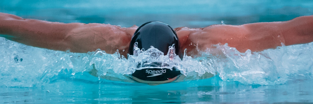 Butterfly swimmer breaches calm water